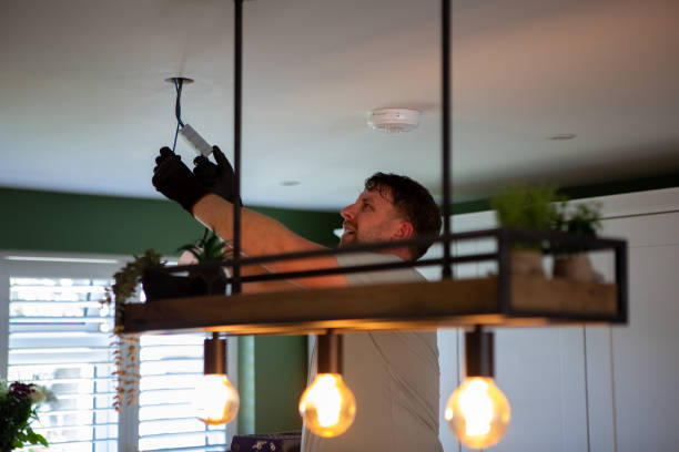 Best Electric Panel Repair  in Ferndale, WA